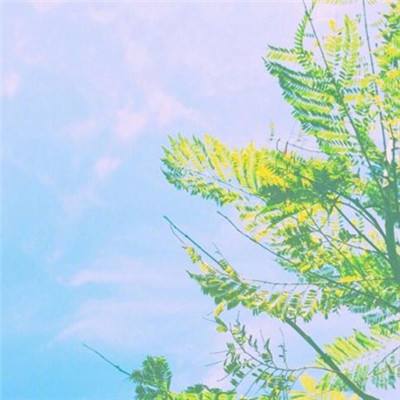 蜀山侠客手游破解版下载